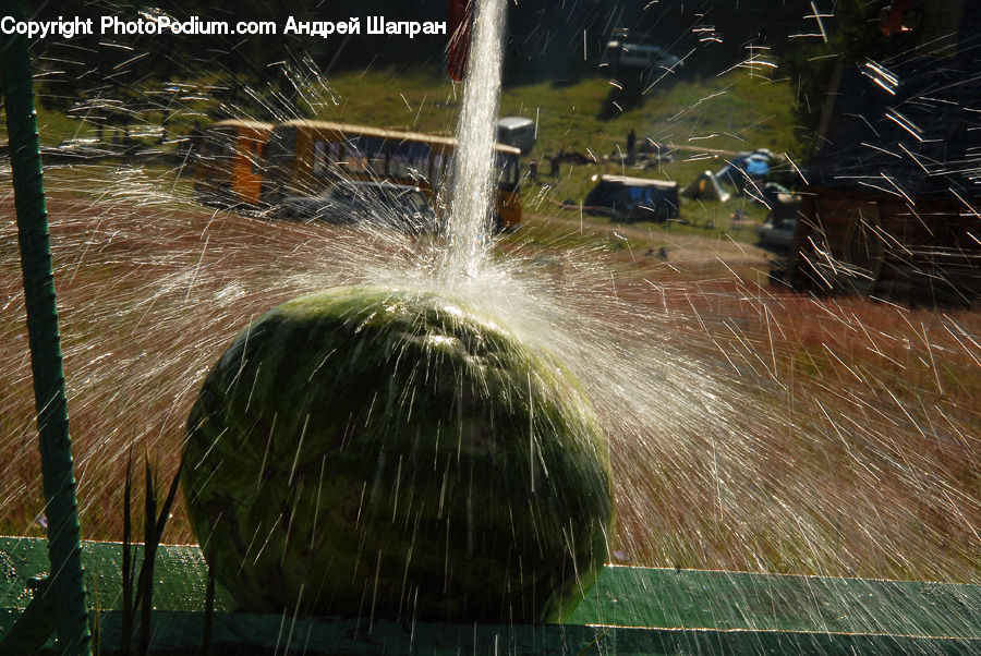 Fountain, Water, Arachnid, Garden Spider, Insect, Invertebrate, Spider
