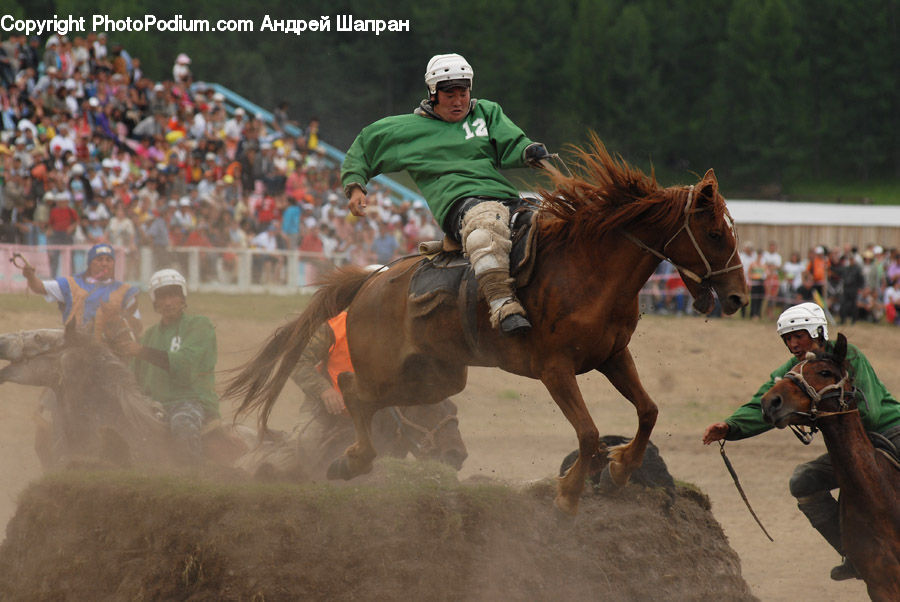 People, Person, Human, Rodeo, Animal, Equestrian, Horse