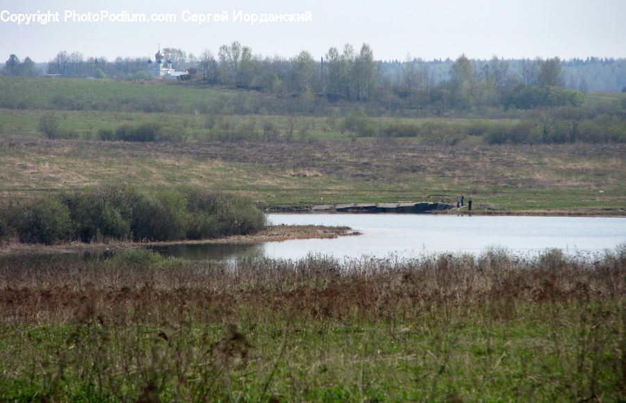 Land, Marsh, Outdoors, Swamp, Water, Field, Grass