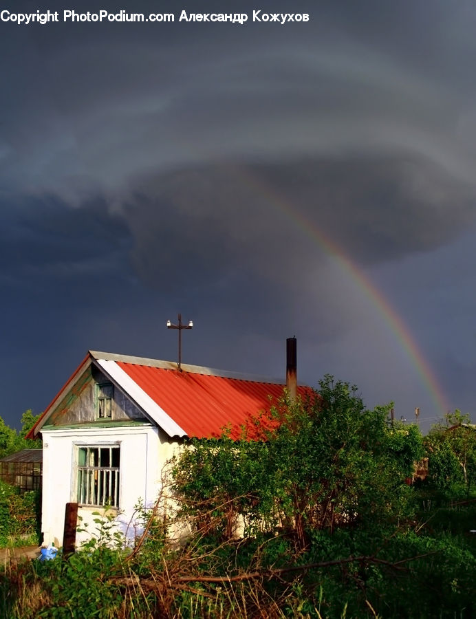 Outdoors, Rainbow, Sky, Forest, Jungle, Rainforest, Vegetation