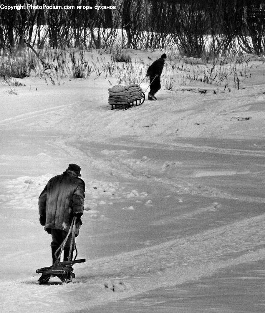 People, Person, Human, Piste, Skiing, Slide, Snow