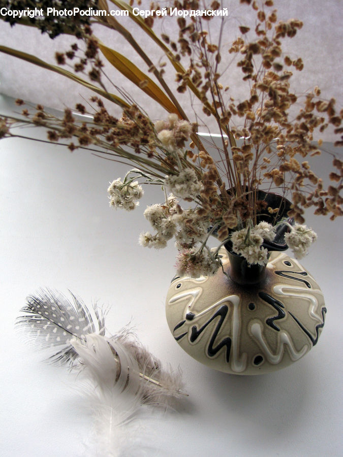 Dill, Plant, Ornament, Birthday Cake, Cake, Dessert, Food