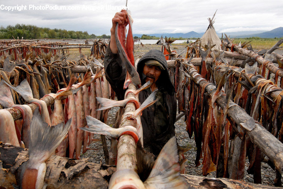 People, Person, Human, Lumber, Rubble, Tribe, Boot