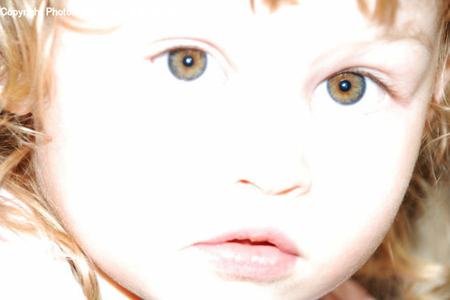 Face, Freckle, Skin, Blonde, Female, Person