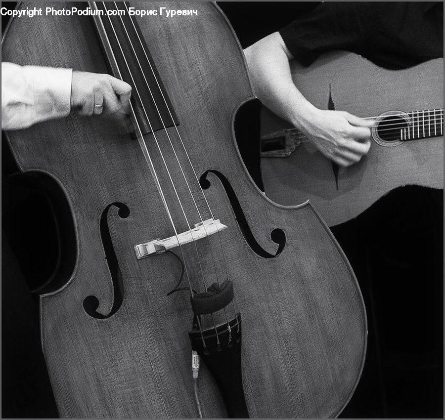 Cello, Musical Instrument, Guitar, Guitarist, Musician, Performer, Person