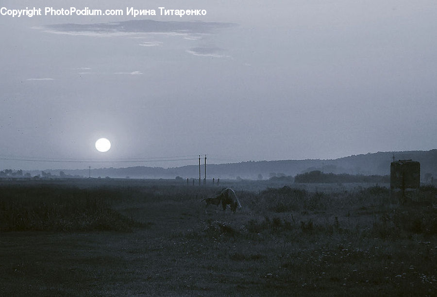 Ruins, Fog, Cabin, Hut, Rural, Shack, Shelter