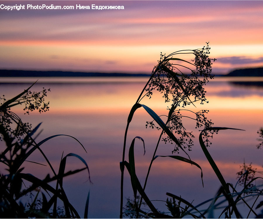 Dawn, Dusk, Red Sky, Sky, Sunrise, Sunset, Outdoors