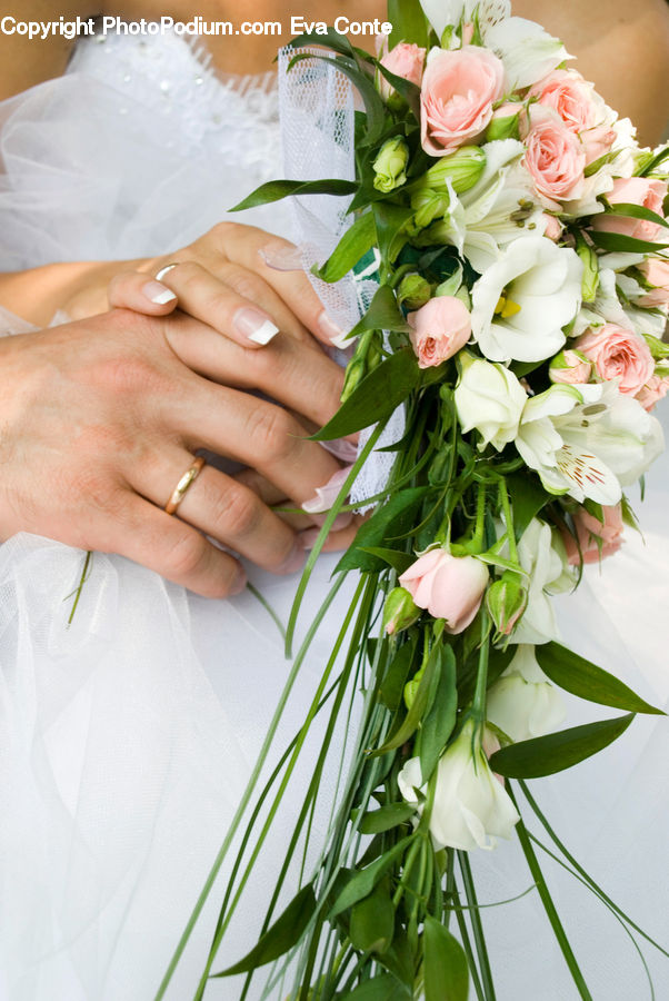 Flower, Flower Arrangement, Flower Bouquet, Floral Design