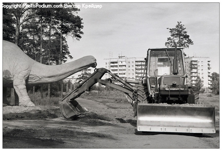 Plant, Potted Plant, Bulldozer, Tractor, Vehicle, Car, Van