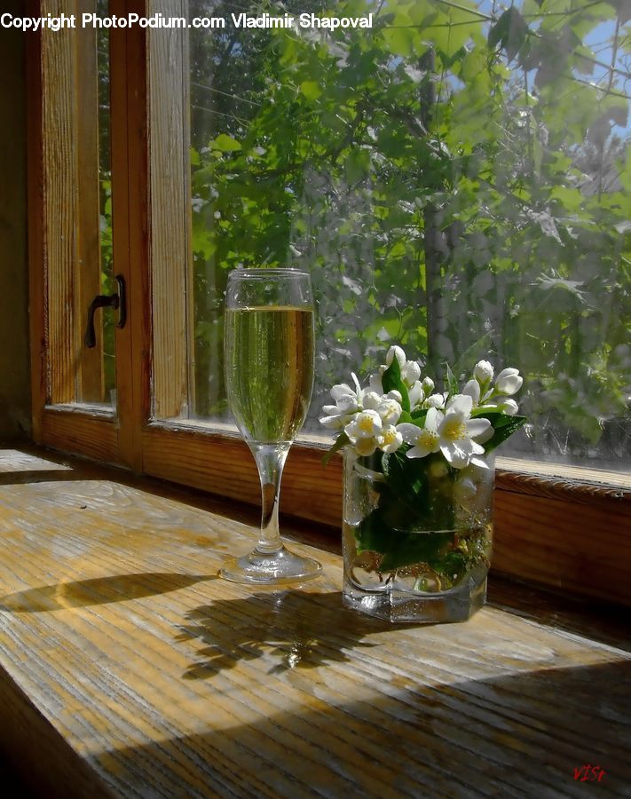 Plant, Potted Plant, Glass, Goblet, Herbs, Mint, Beverage