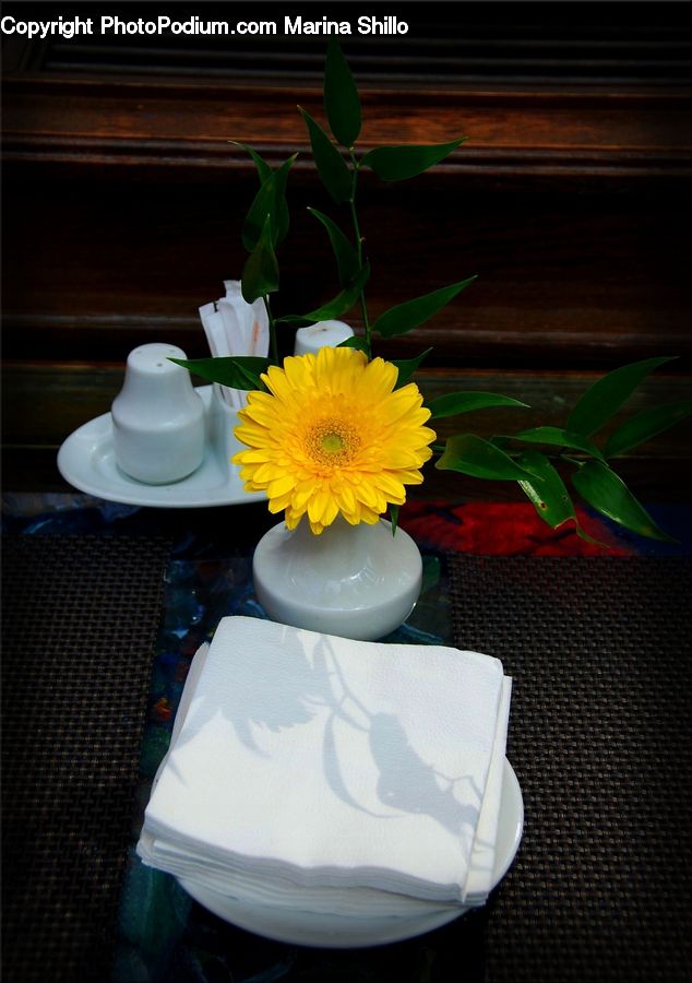 Plant, Potted Plant, Floral Design, Flower, Flower Arrangement, Flower Bouquet, Ikebana