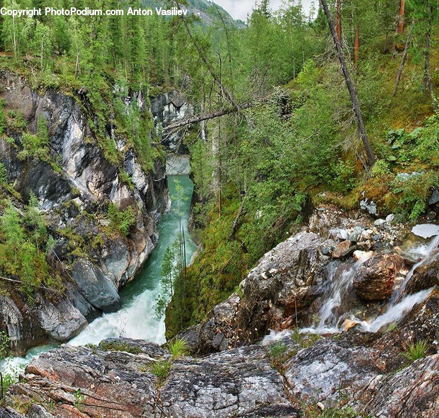 Creek, Outdoors, River, Water, Cliff, Forest, Jungle