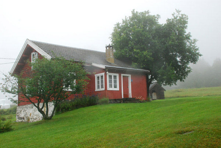 Building, Cottage, Housing, Yard, Plant, Tree, House