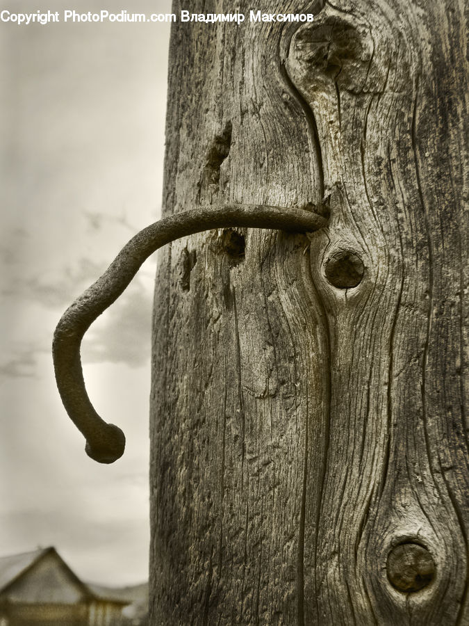 Wood, Anubis