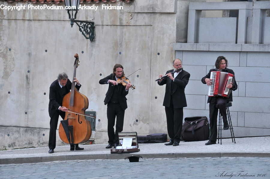 Accordion, Musical Instrument, Human, People, Person, Cello, Fiddle