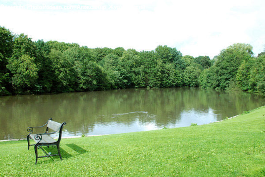 Park Bench, Plant, Potted Plant, Outdoors, Pond, Water, Vegetation