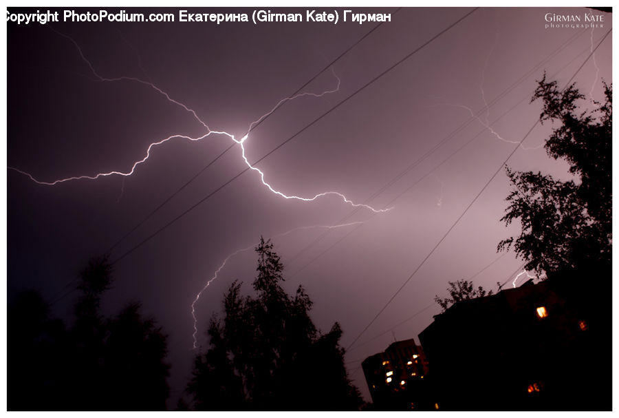 Outdoors, Storm, Thunderstorm, Weather, Plant, Tree, Light