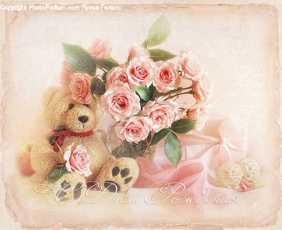 Blossom, Flower, Plant, Rose, Cushion, Home Decor, Pillow