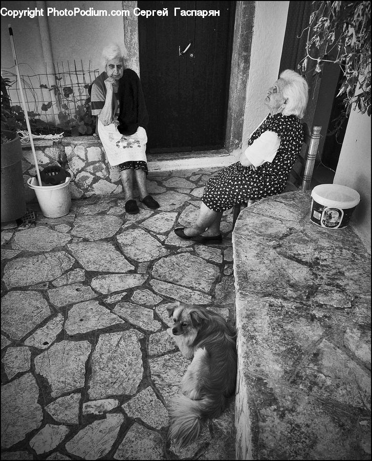 Footwear, Shoe, Animal, Canine, Dog, Mammal, Pet