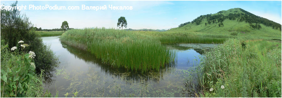 Ditch, Field, Grass, Grassland, Plant, Land, Outdoors