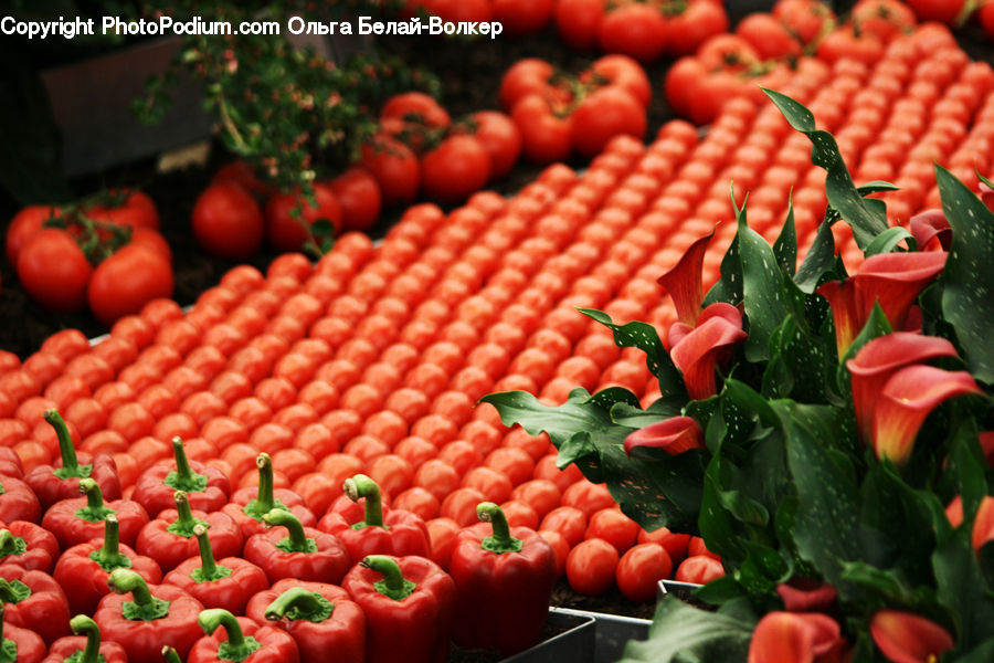 Bell Pepper, Pepper, Produce, Vegetable, Tomato, Market, Fruit