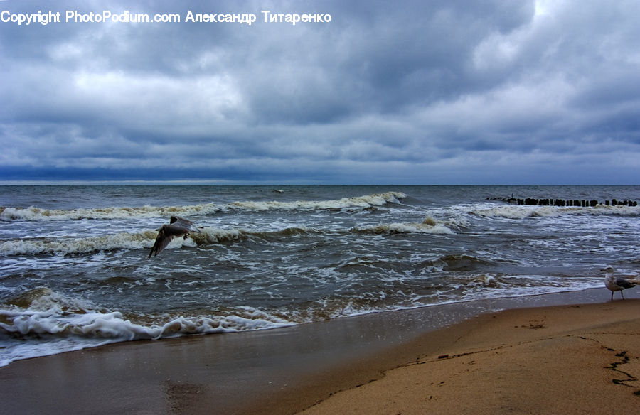 Beach, Coast, Outdoors, Sea, Water, Ocean, Sea Waves