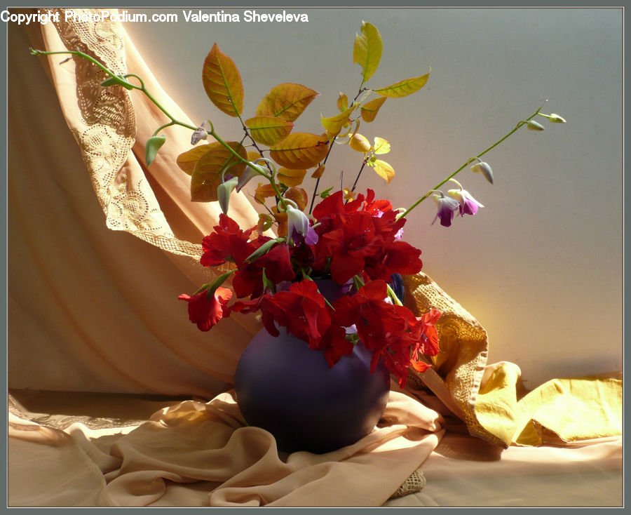 Flower Arrangement, Ikebana, Plant, Potted Plant, Vase, Blossom, Flora