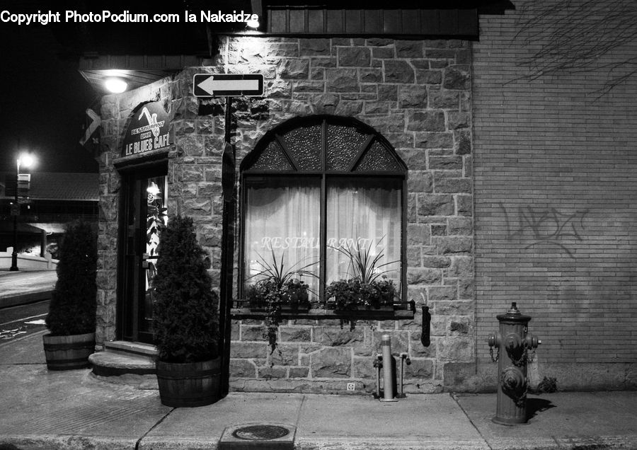 Arch, Plant, Potted Plant, Brick, Conifer, Fir, Tree