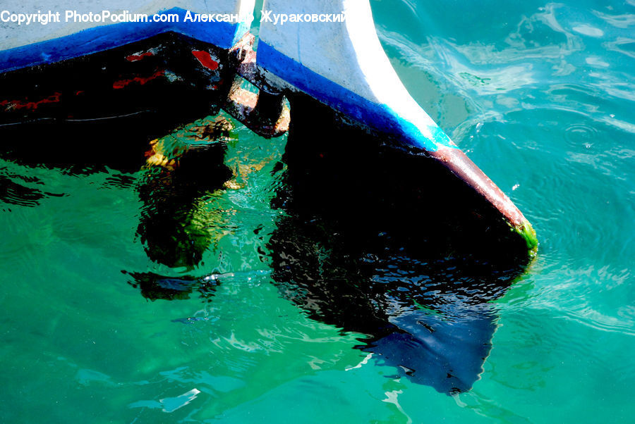Sport, Swimming, Water, Boat, Dinghy