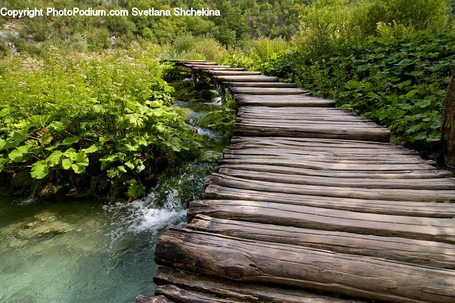 Boardwalk, Deck, Path, Sidewalk, Walkway, Outdoors, Pond
