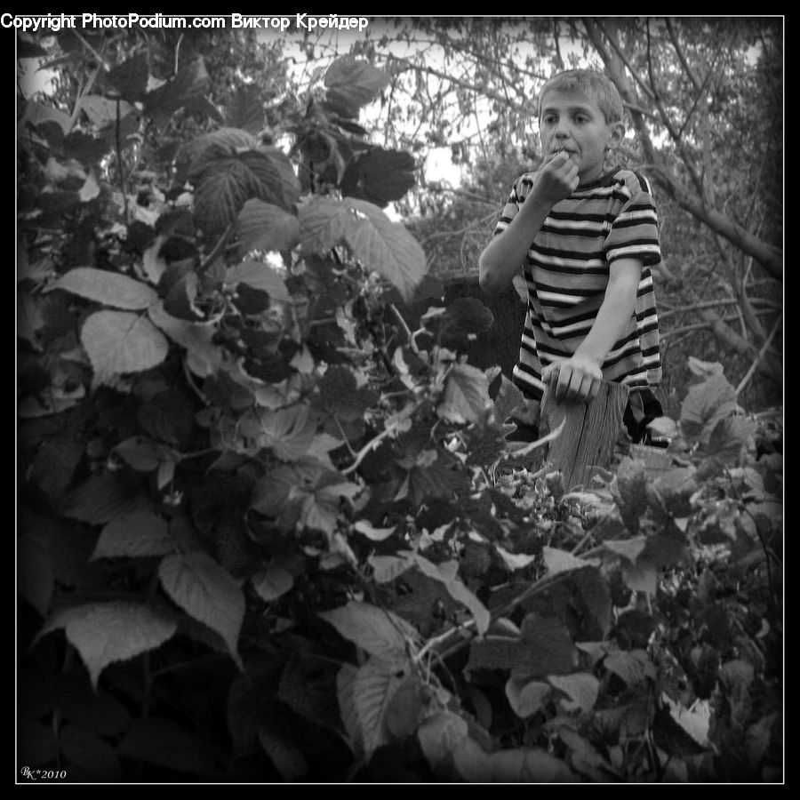 People, Person, Human, Ivy, Plant, Vine, Blossom