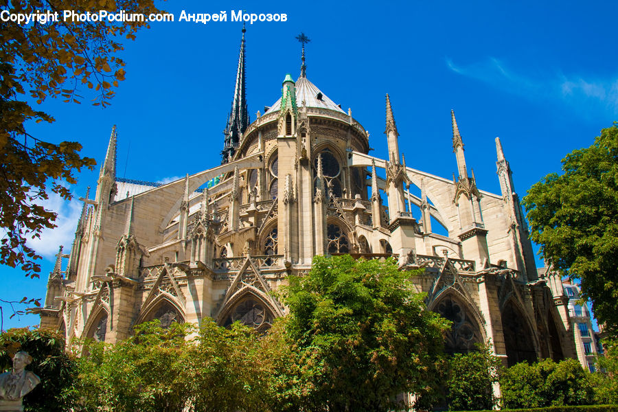 Architecture, Cathedral, Church, Worship, Castle, Fort, Ivy