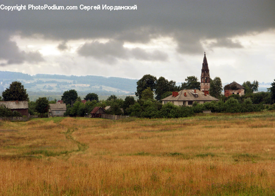 Field, Grass, Grassland, Land, Outdoors, Landscape, Nature