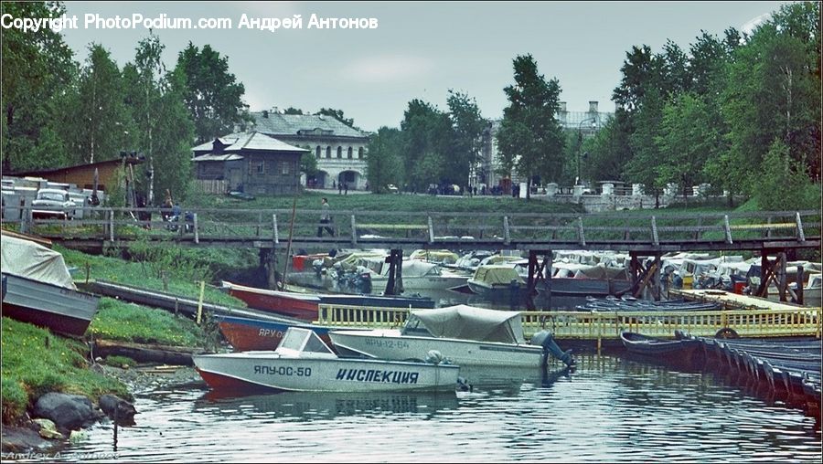 Boat, Watercraft, Dock, Landing, Pier, Conifer, Fir