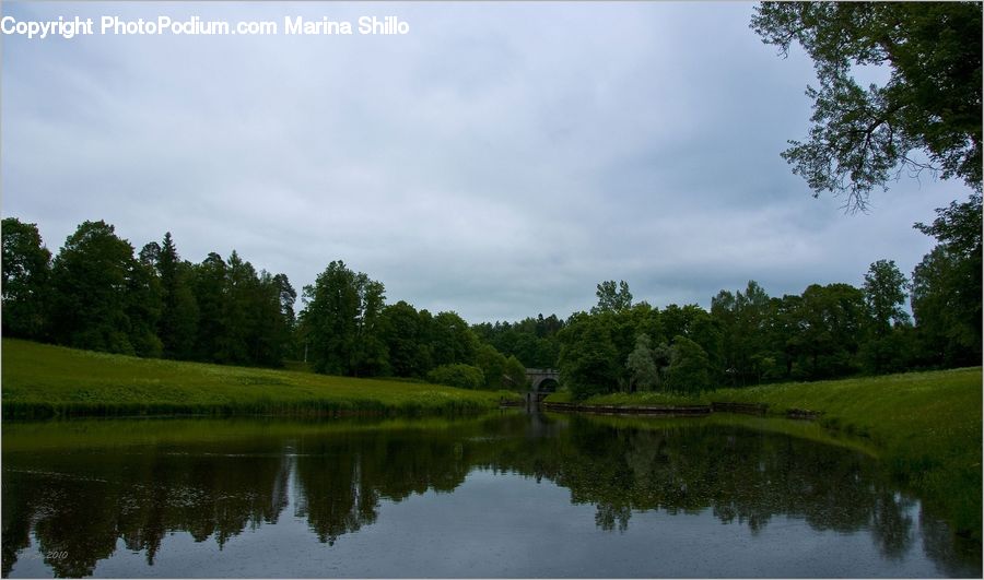 Outdoors, Pond, Water, Field, Grass, Grassland, Plant
