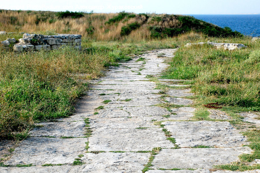 Path, Trail, Dirt Road, Gravel, Road, Walkway, Field