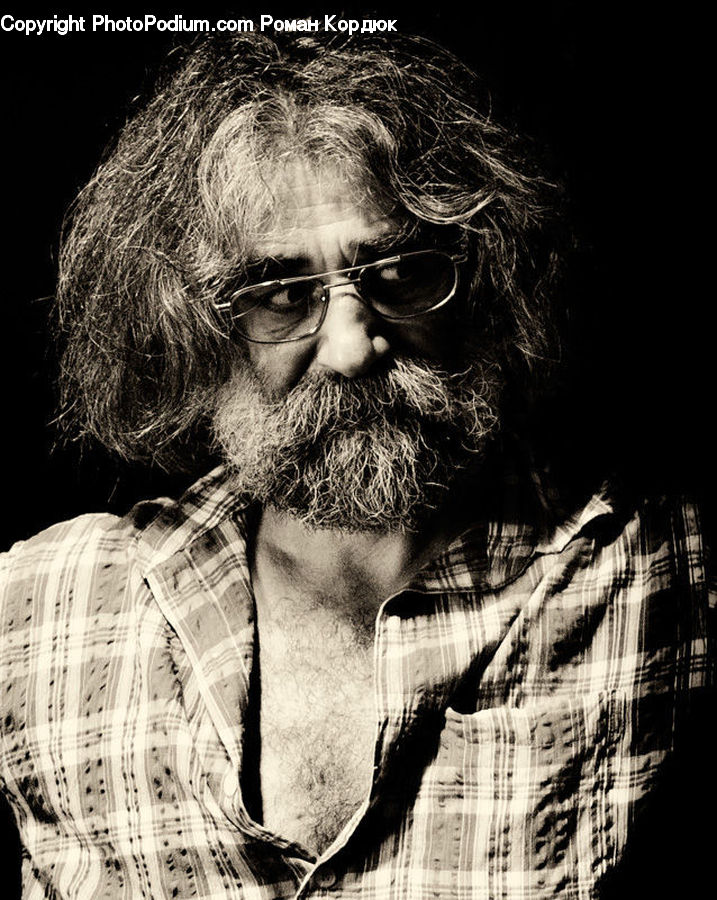 Beard, Hair, Person, Portrait