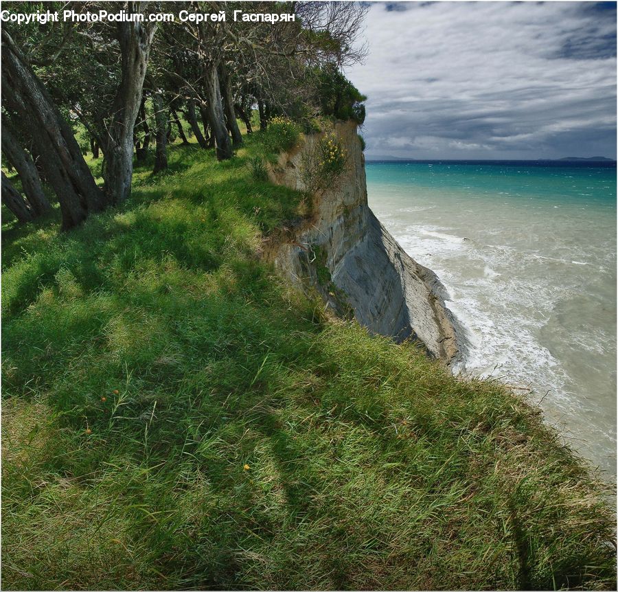 Cliff, Outdoors, Promontory, Forest, Vegetation, Nature, Field