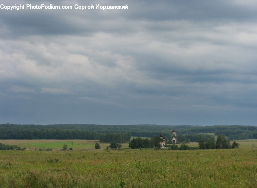 Field, Grass, Grassland, Land, Outdoors, Plant, Landscape