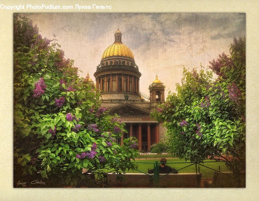 Architecture, Cathedral, Church, Worship, Plant, Potted Plant, Bell Tower