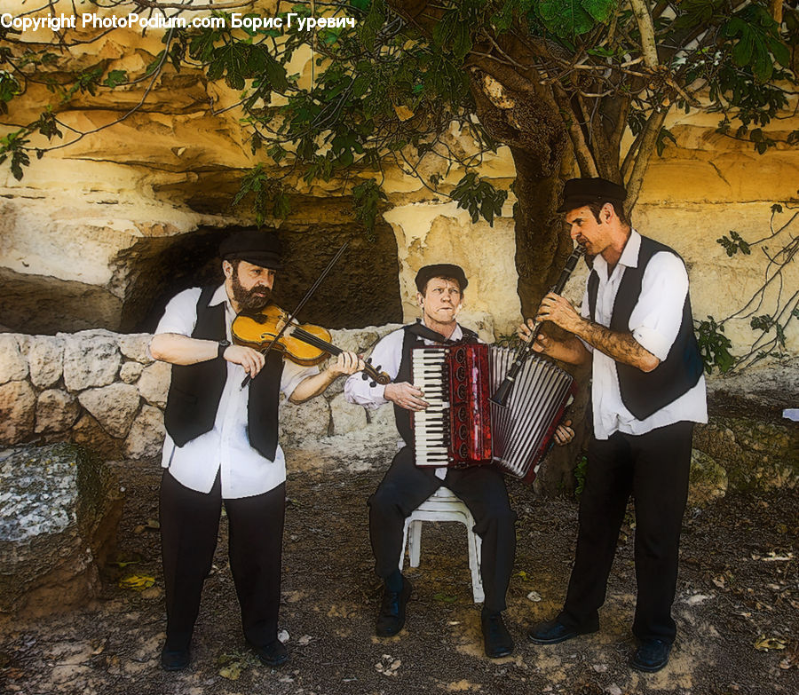 Accordion, Human, Musical Instrument, People, Person, Plant, Potted Plant