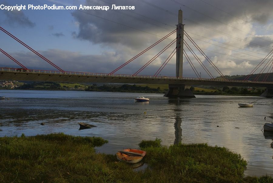 Boat, Watercraft, Plant, Potted Plant, Bridge, Land, Marsh