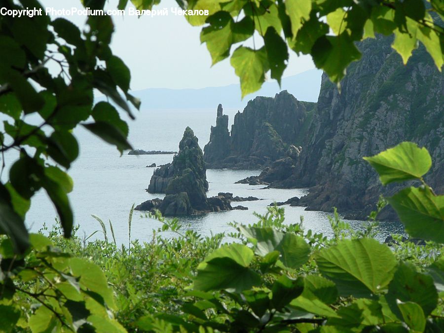 People, Person, Human, Promontory, Algae, Cliff, Outdoors