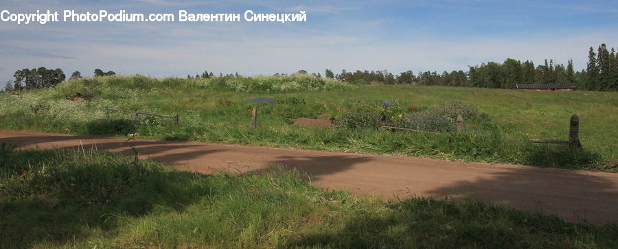 Dirt Road, Gravel, Road, Soil, Dune, Outdoors, Field