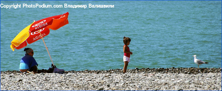 People, Person, Human, Beach, Coast, Outdoors, Sea