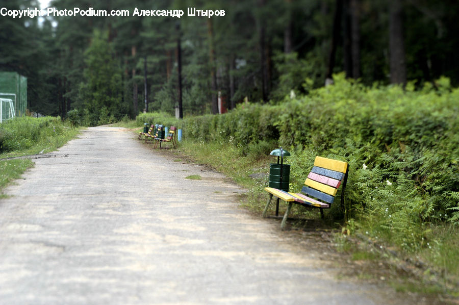 Bench, Forest, Vegetation, Dirt Road, Gravel, Road, Park Bench