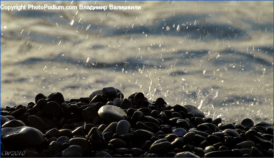 Bean, Produce, Vegetable, Pebble, Outdoors, Sea, Water