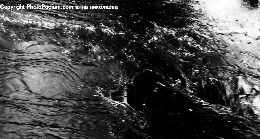 Water, Forest, Vegetation, Jungle, Rainforest, Soil, Outdoors