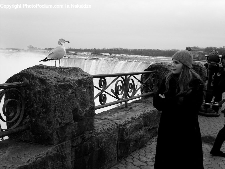 People, Person, Human, Bird, Seagull, Portrait, Selfie