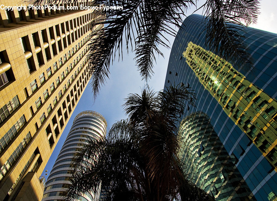 Building, Housing, City, High Rise, Architecture, Downtown, Skyscraper